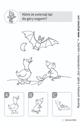 Quiz przedszkolaka z papużką Zadania rebusy dla dzieci książeczka