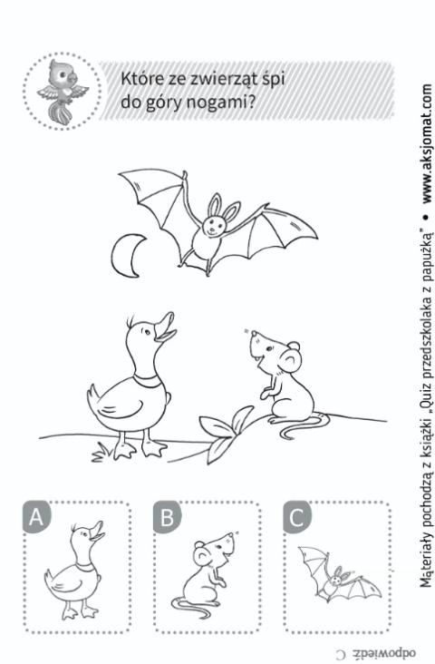 Quiz przedszkolaka z papużką Zadania rebusy dla dzieci książeczka