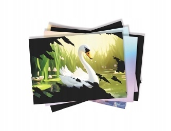 Zwierzaki Zadanka & zdrapywanki Zadania i ćwiczenia dla dzieci zdrapki