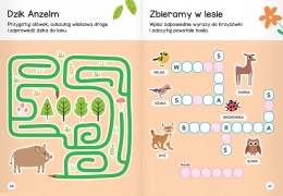 Zwierzęta w lesie. Łamigłówki przedszkolaka, zagadki książki dla dzieci