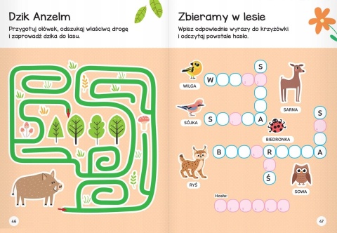 Zwierzęta w lesie. Łamigłówki przedszkolaka, zagadki książki dla dzieci