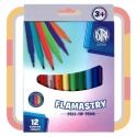 Flamastry Astra 12 szt.