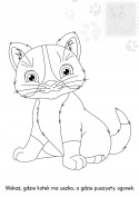 Brzdące kolorują Kotki Kolorowanka Malowanka dla dzieci + Naklejki