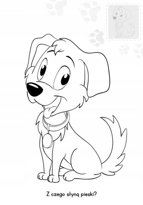 Brzdące kolorują Pieski Kolorowanka dla dzieci Malowanka + Naklejki