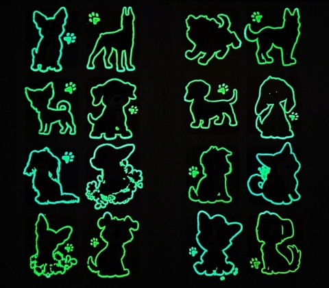 Brzdące kolorują Pieski Kolorowanka dla dzieci Malowanka + Naklejki