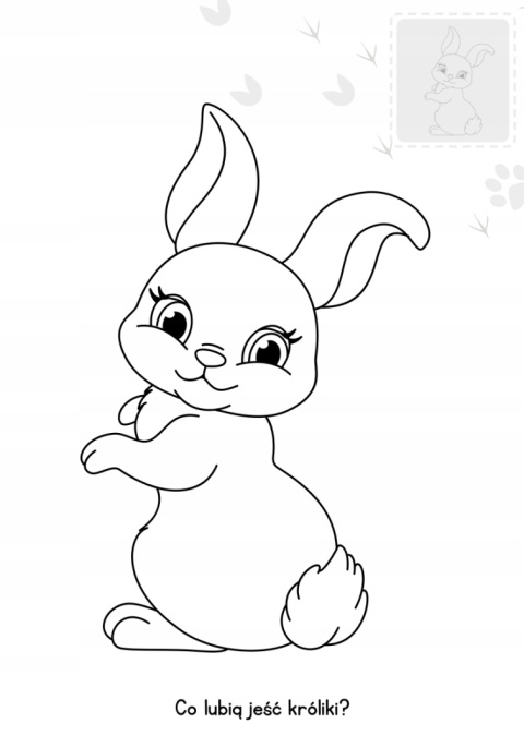 Brzdące kolorują Zwierzaki na wsi Kolorowanka Malowanka Naklejki świecące