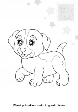 Brzdące kolorują Zwierzaki naklejki świecące Kolorowanka Malowanka