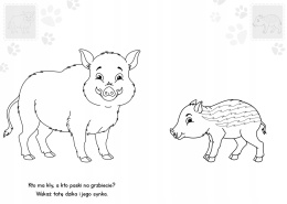 Brzdące kolorują Zwierzaki w lesie Kolorowanka Malowanka naklejki świecące