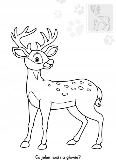 Brzdące kolorują Zwierzaki w lesie Kolorowanka Malowanka naklejki świecące