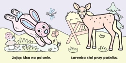 Czarodziejski pędzelek W lesie Malowanka wodna dla Dzieci