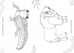 Kolorowanka Malowanka Maluszkowe malowanie Zwierzęta chronione w Polsce