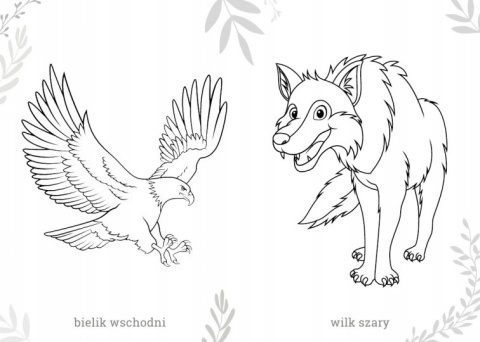 Kolorowanka Malowanka Maluszkowe malowanie Zwierzęta chronione w Polsce