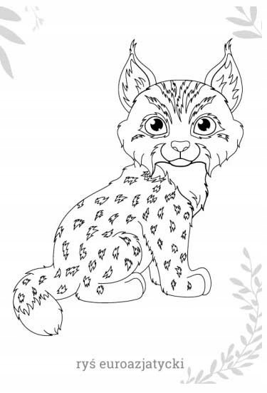 Kolorowanka Malowanka Maluszkowe malowanie Zwierzęta chronione w Polsce