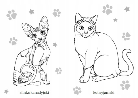 Kolorowanka Malowanka dla dzieci Maluszkowe malowanie Koty rasowe