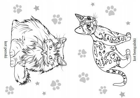 Kolorowanka Malowanka dla dzieci Maluszkowe malowanie Koty rasowe