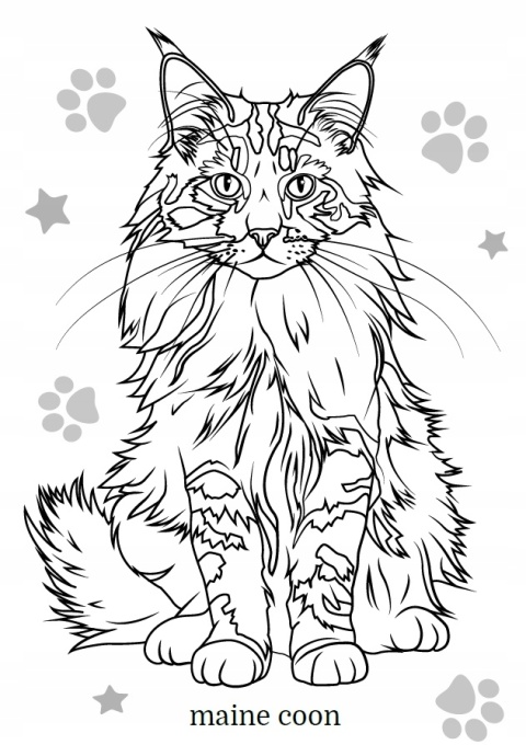 Kolorowanka Malowanka dla dzieci Maluszkowe malowanie Koty rasowe
