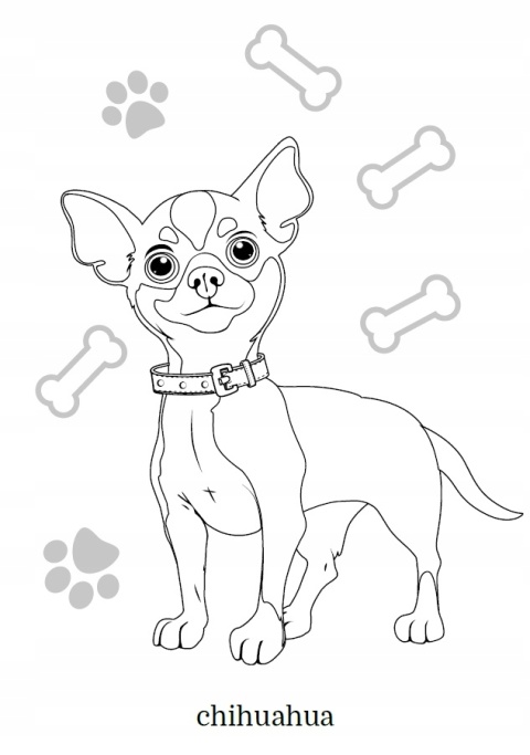 Kolorowanka dla dzieci Malowanka Maluszkowe malowanie Małe pieski rasowe