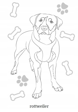 Kolorowanka dla dzieci Malowanka Maluszkowe malowanie Psy rasowe