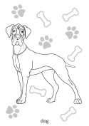 Kolorowanka dla dzieci Malowanka Maluszkowe malowanie Psy rasowe