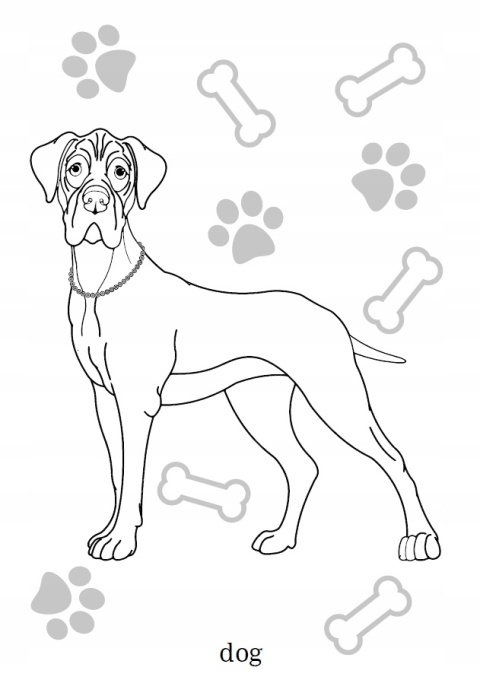 Kolorowanka dla dzieci Malowanka Maluszkowe malowanie Psy rasowe