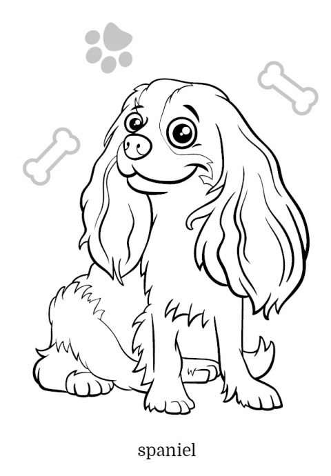 Kolorowanka dla dzieci Malowanka Maluszkowe malowanie Psy rasowe