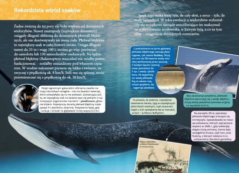 Mała encyklopedia Rekordy przyrody Książeczka edukacyjna dla dzieci