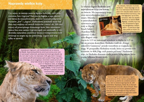 Mała encyklopedia Rekordy przyrody Książeczka edukacyjna dla dzieci