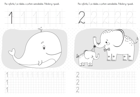 Moje cyferki - edukacyjna książeczka matematyczna dla przedszkolaka