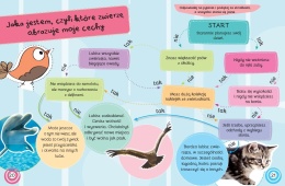 Sekretnik przyjaciółki zwierząt Kolorowanie humor porady ciekawostki quiz naklejki