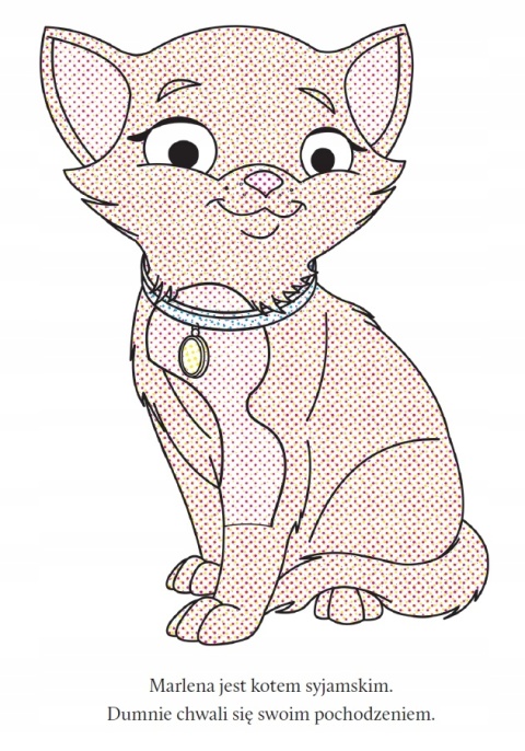 Wyczaruj kotki Malowanka wodna Kolorowanka Malowanka dla dzieci