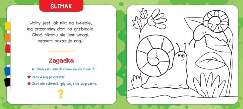 Edukacyjna kolorowanka W parku kredka segmentowa idealna dla przedszkolaków