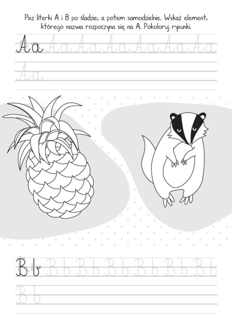 Moje literki Skrzat książeczka edukacyjna nauka pisania alfabetu