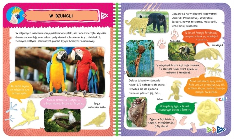 Album z naklejkami Egzotyczne zwierzęta Ciekawostki dla dzieci Aksjomat