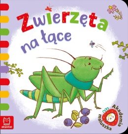 Książeczka dla malucha Zwierzęta na łące Akademia maluszka Aksjomat