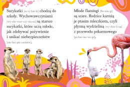 Książka do nauki czytania z dużymi literami Zwierzęta duże i małe Aksjomat