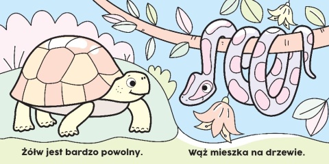 Malowanka wodna dla dzieci Czarodziejski pędzelek W dżungli Kolorowanka