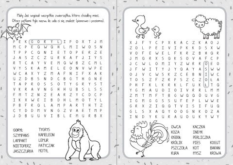 Moje zagadki książeczka z zagadkami i ćwiczeniami dla dzieci edukacyjna