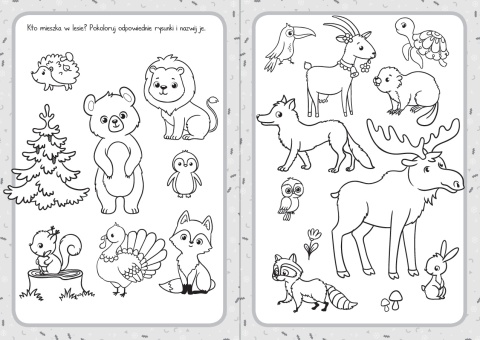 Moje zagadki książeczka z zagadkami i ćwiczeniami dla dzieci edukacyjna